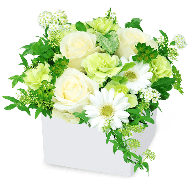 美しい花の画像 無料ダウンロード記念日 花 プレゼント