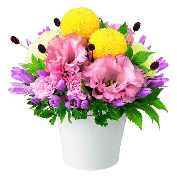 敬老の日の花束 アレンジメント特集21 フラワーギフト プレゼントの通販なら花キューピット