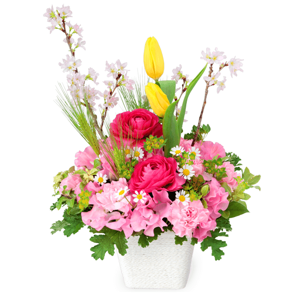 花キューピットの春の花贈り特集21 フラワーギフト通販なら花キューピット