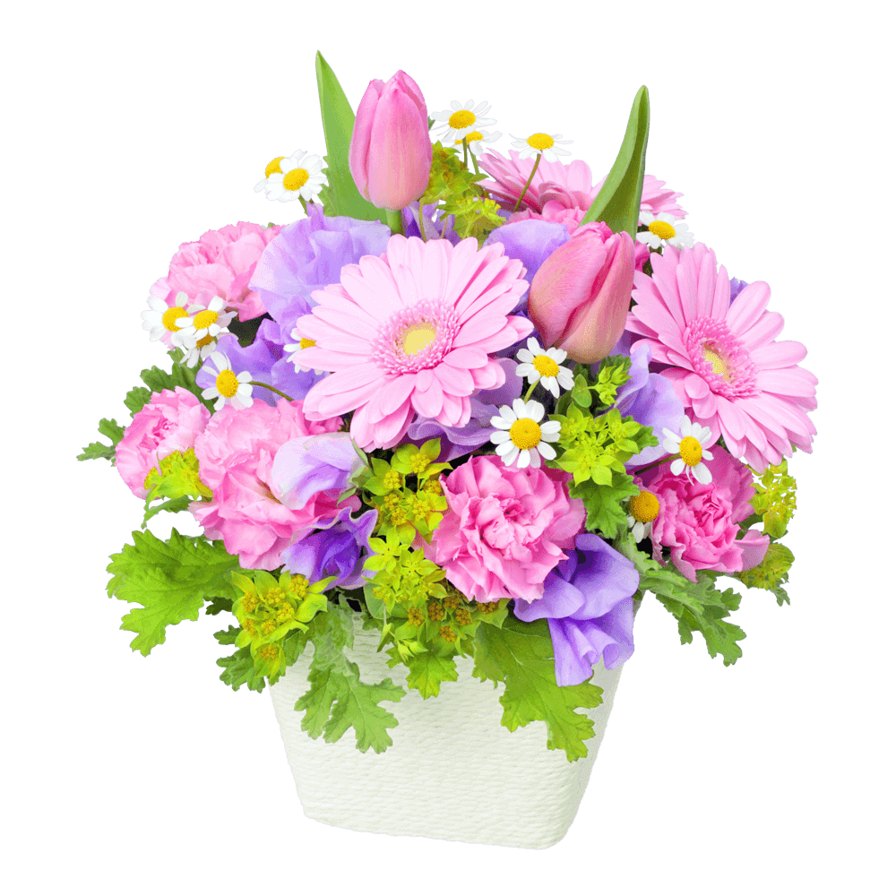 春の誕生日 プレゼントの花｜花キューピットの春の花贈り ギフト・プレゼントにおすすめ！人気のプレゼント特集 2022
