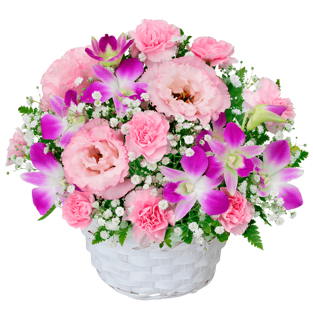 ピンク系の花 秋の花贈りプレゼント・ギフト特集2021