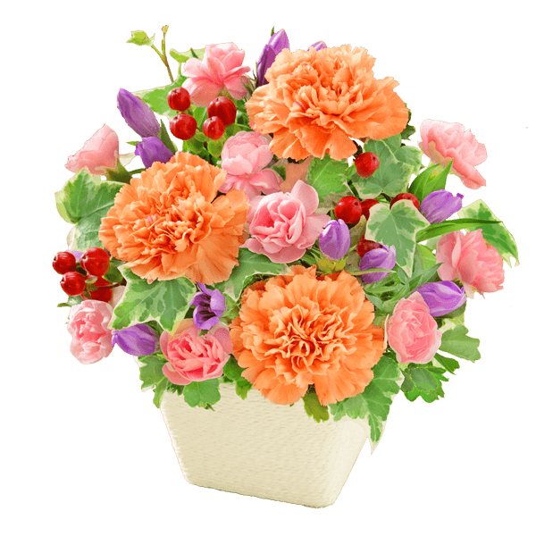 敬老の日 花のおすすめランキング｜花キューピットの敬老の日 花のギフト・プレゼントにおすすめ！人気のプレゼント特集 2022
