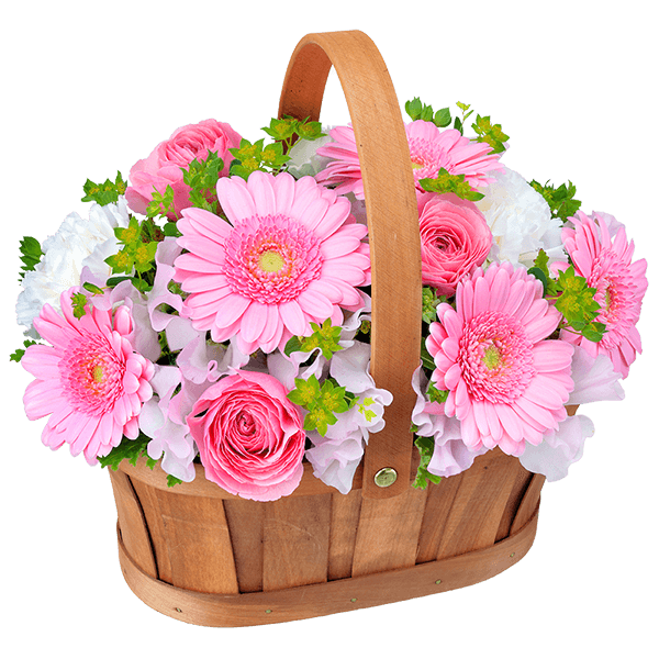 3月の誕生花 ピンクガーベラ等 花や花束の宅配 フラワーギフト通販なら花キューピット