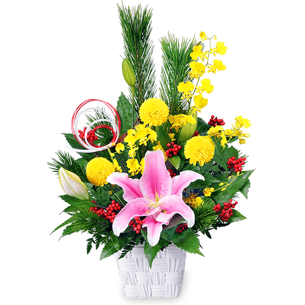 お正月 プレゼント｜花キューピットの冬の花贈りプレゼント・ギフトにおすすめ！人気のプレゼント特集 2021