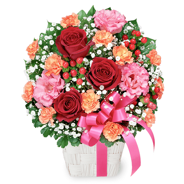 春の退職祝い 赤の花ギフト｜春の退職祝い 花のギフト・プレゼント特集2023