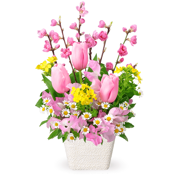 ひな祭り 花のギフト・プレゼント｜春の花贈り ギフト・プレゼント特集2023