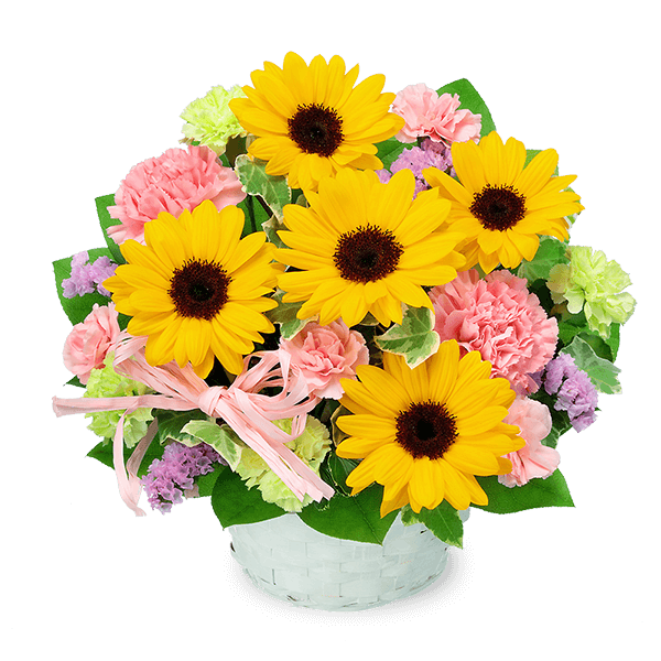 【7月の誕生花（ひまわり）】ひまわりのピンクアレンジメント