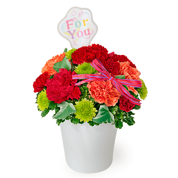 カーネーション | 花の種類・スタイルから探す