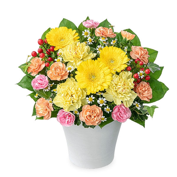 【卒園卒業・入園入学祝い】イエローガーベラのミックスアレンジメント