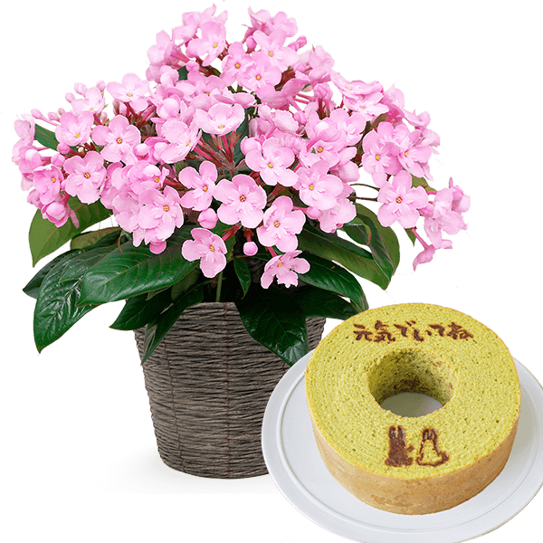 敬老の日の花束 アレンジメント特集21 フラワーギフト プレゼントの通販なら花キューピット 敬老の日の花束 アレンジメント特集21 フラワーギフト プレゼントの通販なら花キューピット