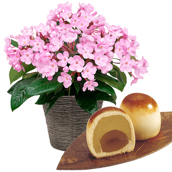 敬老の日限定「におい桜」（ココ）と栗ほまれ 4個入り