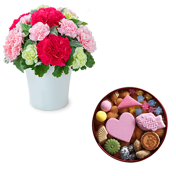 【母の日セットギフト】グラマラス（ピンク）と【銀座菊廼舎（きくのや）】登録商標 冨貴寄（ふきよせ）ハート日和