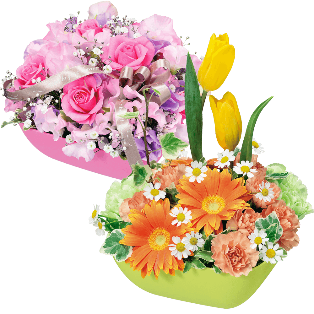 【ホワイトデー 花屋さんおすすめギフト】【花屋オリジナル】ホワイトデーのアレンジメント