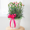【母の日ギフト】カーネーション鉢（ピンク）