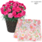 【母の日 産直花鉢植え】カーネーションの鉢植え（ピンク）と【リバティプリント】ラージサイズハンカチ