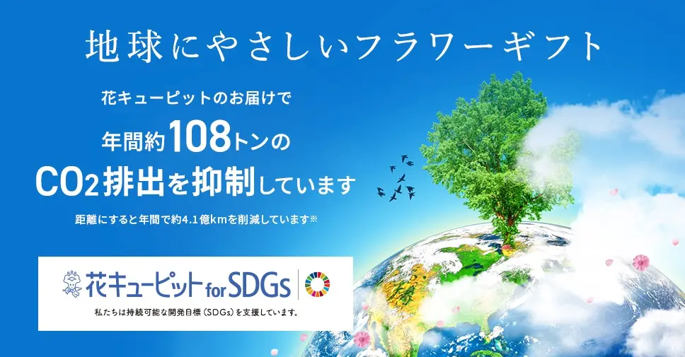 地球にやさしいフラワーギフト