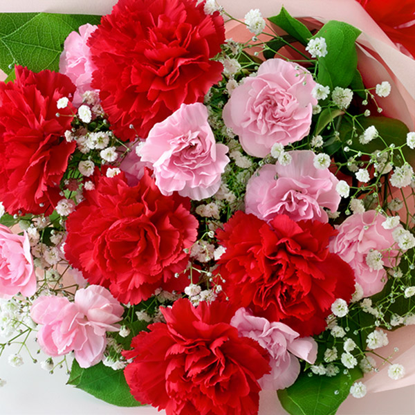 【母の日ギフト（ea）】カーネーションの花束母の日にまっすぐな「ありがとう」を贈る
