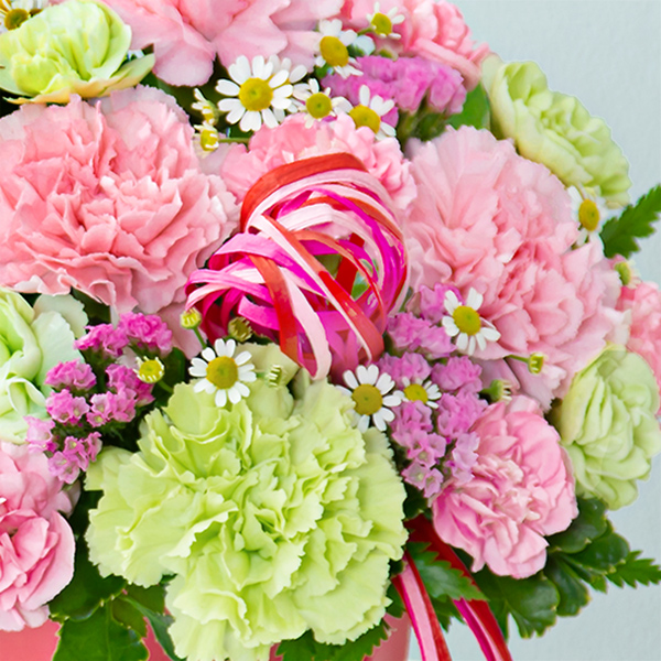 【母の日ギフト】カーネーションのハミングアレンジメント（ピンク）ビビッドなリボンと器が映える新作母の日アレンジメント