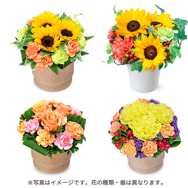 【父の日遅れてごめんね花屋さんおすすめ】【お花屋さんおすすめ】オリジナルアレンジお花選びに迷っても安心！