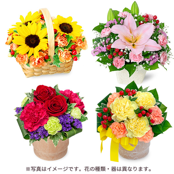 【父の日お花屋さんおすすめギフト】【お花屋さんおすすめ】オリジナルアレンジ鮮度の良いお花をお届け！
