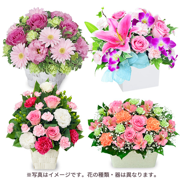 【母の日お花屋さんおすすめギフト】【お花屋さんおすすめ】オリジナルアレンジお花屋さんが「ありがとう」を届けます！