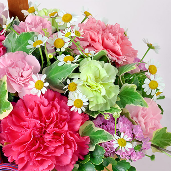 【母の日（遅れてごめんね）ギフト】ハッピー（ピンク）ピンクのカーネーションの花言葉は「感謝」