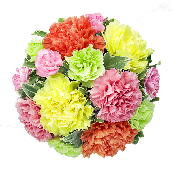 グラマラス カラフル 母の日ギフト 花や花束の宅配 フラワーギフト通販なら花キューピット 5213 グラマラス カラフル 母の日ギフト 花や花束の宅配 フラワーギフト通販なら花キューピット 5213