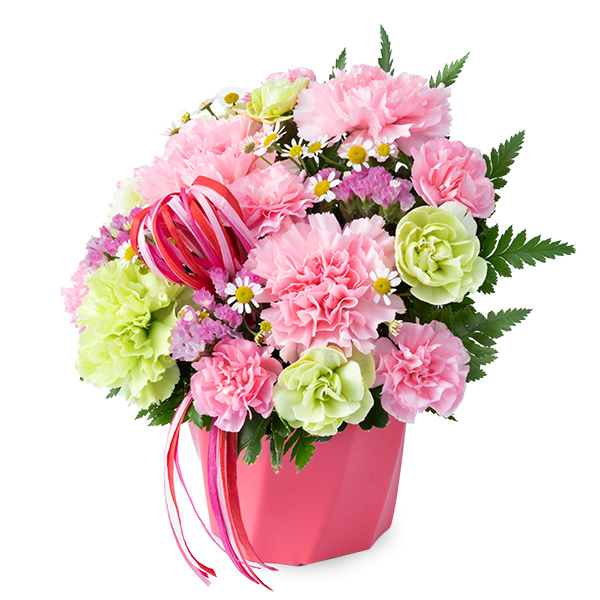 【母の日ギフト】カーネーションのハミングアレンジメント（ピンク）ビビッドなリボンと器が映える新作母の日アレンジメント
