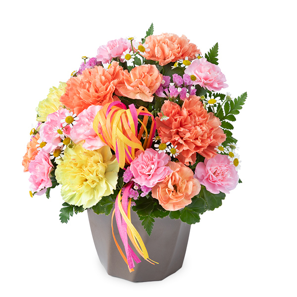 【母の日ギフト】カーネーションのハミングアレンジメント（オレンジ）おしゃれなお母さんにぴったりな新作母の日アレンジメント