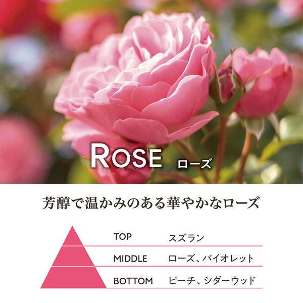 【母の日セットギフト】カーネーションの花束（レッド）とエッセンシャルズ ハンドクリーム（ローズ）シアバターを贅沢に配合した濃厚保湿ハンドクリーム