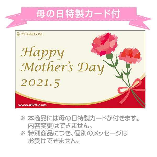 母の日あじさい3色寄せ 白 ピンク 覆輪ピンク 母の日 産直ギフト 花や花束の宅配 フラワーギフト通販なら花キューピット