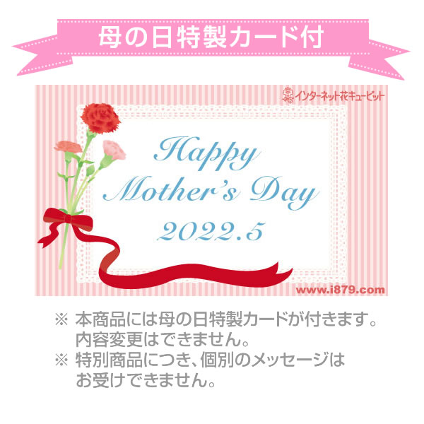 母の日あじさい3色寄せ 赤 白 ピンク 母の日 産直ギフト 花や花束の宅配 フラワーギフト通販なら花キューピット