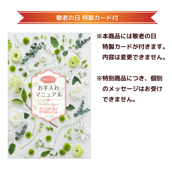 【敬老の日 産直花鉢植え】敬老の日 におい桜 ココと【シュシュ】焼き菓子アソート 4種6個入4種6個入りのバラエティ豊かな洋菓子アソート