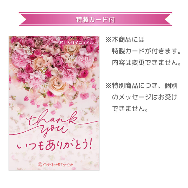 【母の日プリザーブドフラワー】ピンクバラのプリザーブドフラワーガラスドームガラスの中で咲く花々が母の日を素敵に彩ります