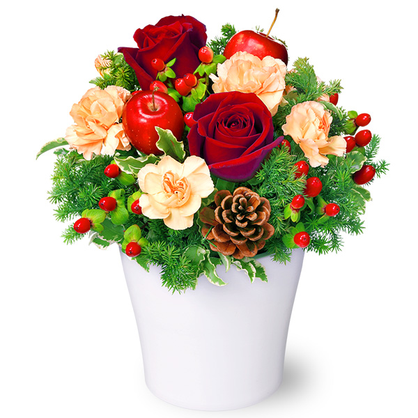 【クリスマスセットギフト】赤バラのウィンターアレンジメントと【果子乃季】魅惑のザッハトルテ 3個入なめらかで濃厚な味わいのカットケーキ