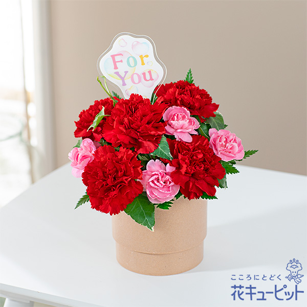 【母の日セットギフト】カーネーションのアレンジ（レッド）と【銀座千疋屋】銀座フルーツ大福 8個入自慢の果物を濃厚なクリームで包みました