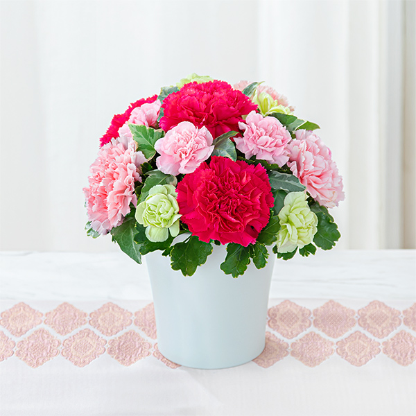 【母の日セットギフト】グラマラス（ピンク）と【銀座千疋屋】銀座フルーツ大福 8個入自慢の果物を濃厚なクリームで包みました