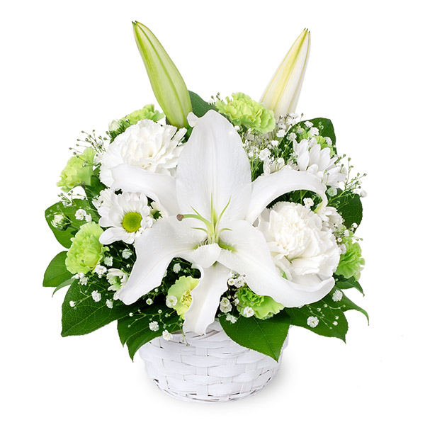 【お供えセットギフト】お供えのアレンジメントとグルメカタログ 麗(うらら) 〔露芝(つゆしば)〕様々なカタチの贈り物を、この一冊で。