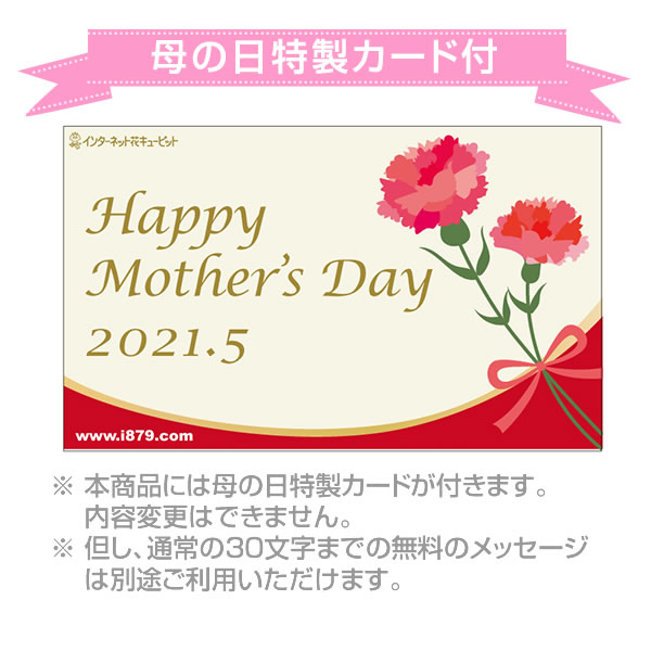 カーネーションの花束と津軽びいどろ ブーケポット 母の日 ありがとうギフトセット 花や花束の宅配 フラワーギフト通販なら花 キューピット T