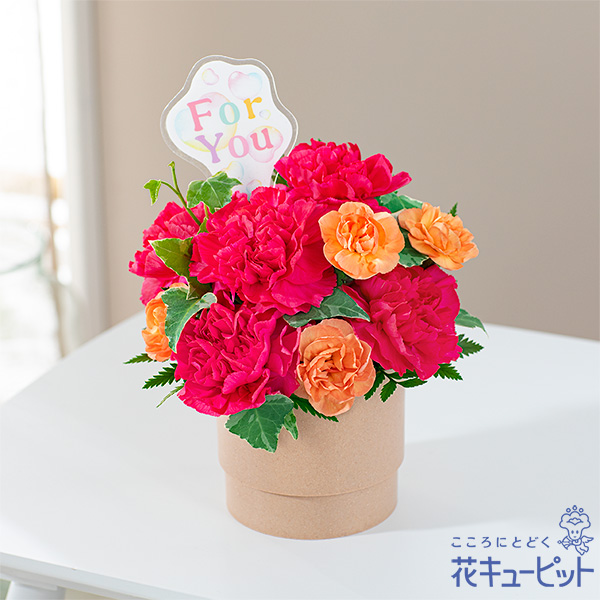 【母の日セットギフト】カーネーションのアレンジ（ピンク）と【津軽びいどろ】一輪挿し 彩手毬・桜風青森県伝統工芸品「津軽びいどろ」の花瓶