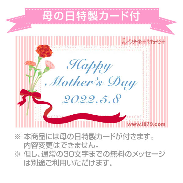グラマラス ピンク と常陸野ネストビール 4本セット バッグ付き 母の日 スイーツ グルメセット 花や花束の宅配 フラワーギフト通販なら花 キューピット U