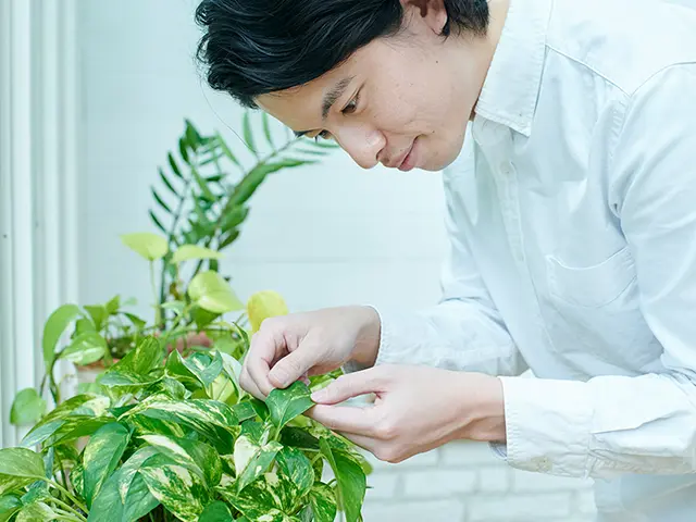 観葉植物を育てる夫