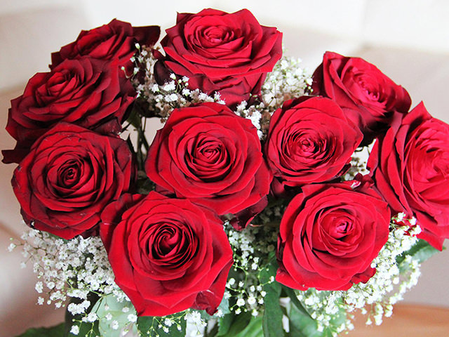 赤バラの花束