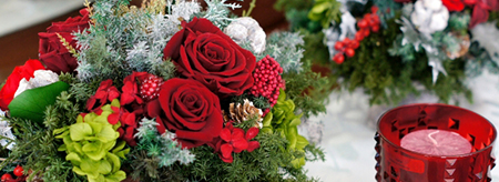 クリスマスに飾りたい花～お家でクリスマスを楽しもう～｜クリスマス コラム