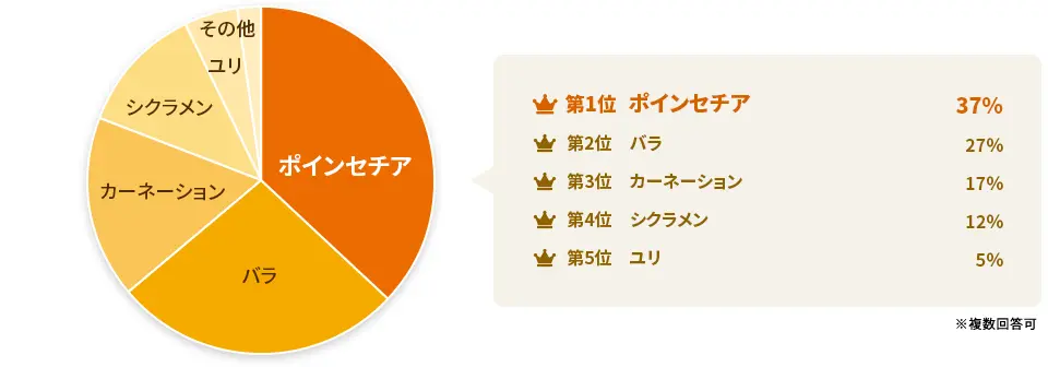 【アンケート調査】実際の20代女性に聞いた！クリスマスに欲しい花は？