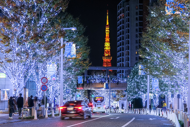 クリスマスの海外の様子 日本と違う世界のクリスマスの過ごし方 フラワーギフト通販なら花キューピット