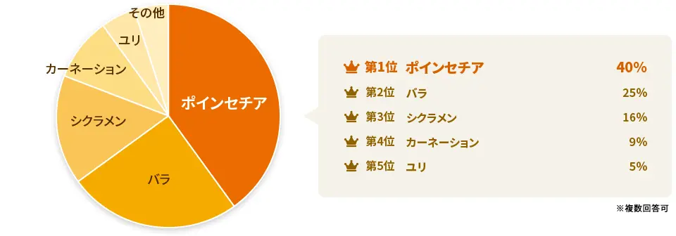 クリスマスの花ギフトとして「シクラメン」も人気