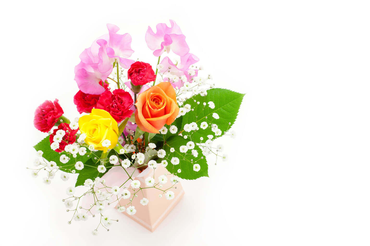 カーネーションの押し花 ドライフラワー 一輪挿し 素敵な楽しみ方をご紹介 花や花束の宅配 フラワーギフト通販なら花キューピット 贈り物 プレゼントで花を贈ろう