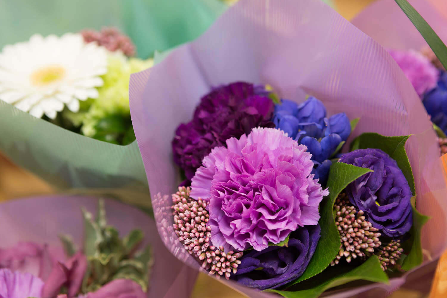 ムーンダスト とは 世界で唯一の青いカーネーションの魅力 花や花束の宅配 フラワーギフト通販なら花キューピット 贈り物 プレゼントで花を贈ろう