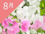 8月の誕生花カレンダー